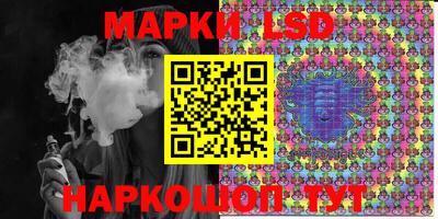 амф Кимры