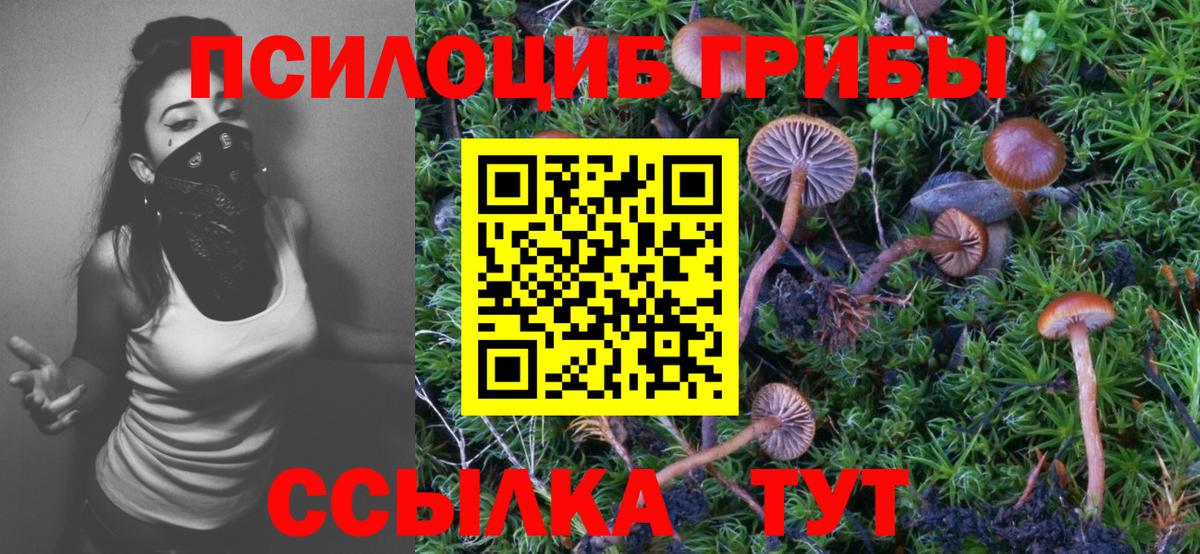 Галлюциногенные грибы Psilocybe  Псилоцибиновые грибы прущие грибы  Краснодар  Вход с VPN 