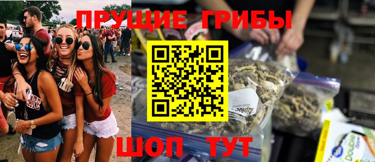 Галлюциногенные грибы Psilocybine cubensis Краснодар